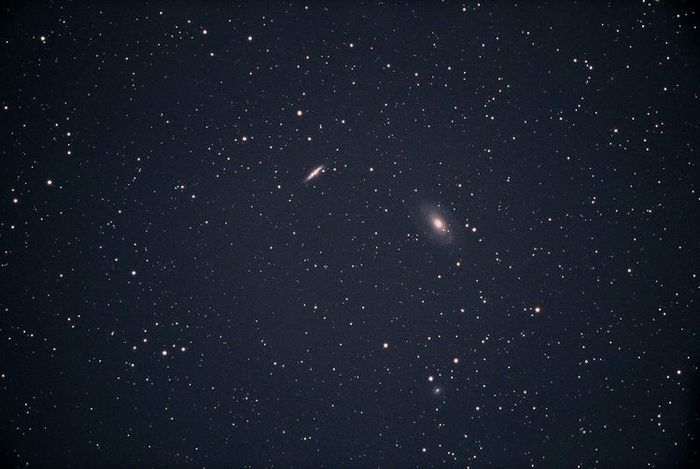 M81-82