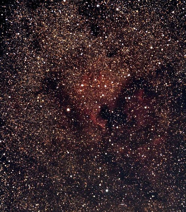 ngc 7000
