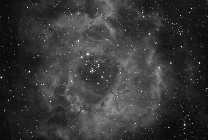 Rosette Nébula