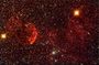 IC443 et IC444 ( la méduse )