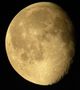 Lune