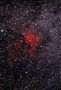 NGC 7000