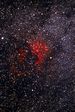 NGC 7000