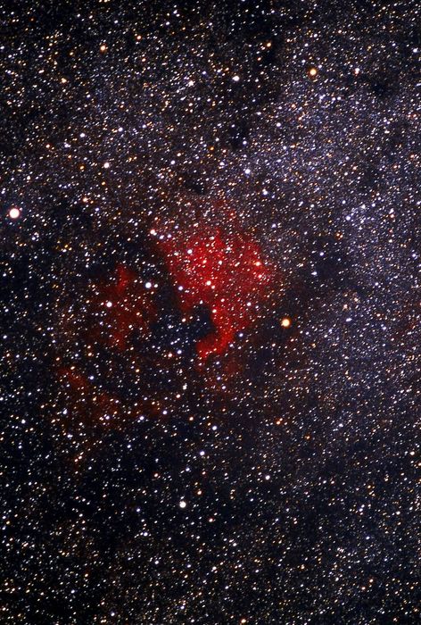 NGC 7000