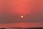 coucher de soleil a Berck