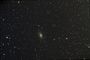 NGC 2403