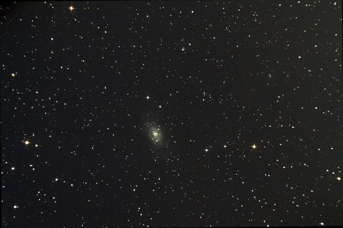 NGC 2403