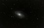 m81