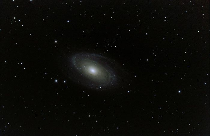 m81