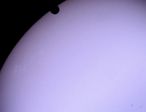 Venus 3