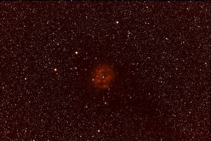 ic5146
