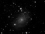 Premiere M33