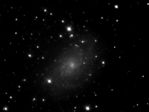 Premiere M33