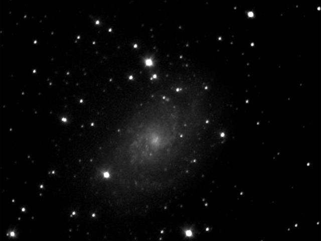 Premiere M33