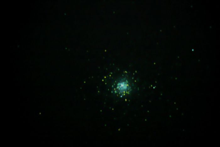 amas M5