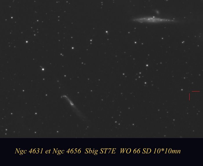 Ngc 4631 et Ngc 4656
