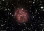 IC5146 - la nébuleuse du Cocon