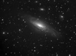 NGC 7331