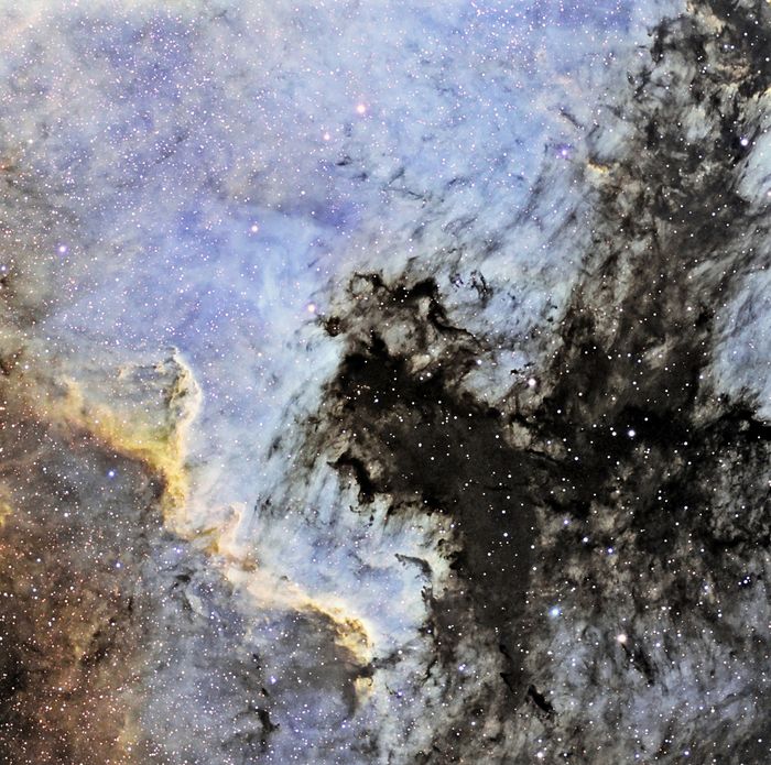 NGC 7000