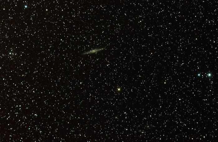 NGC891 en champ large