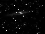 NGC 891 en noir et blanc
