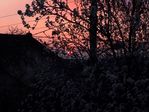 Coucher de soleil