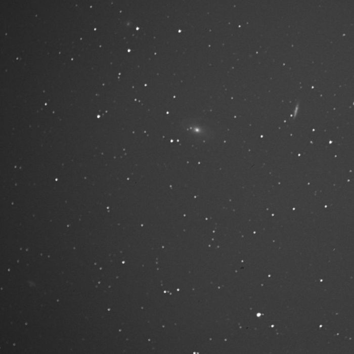 m81 m82