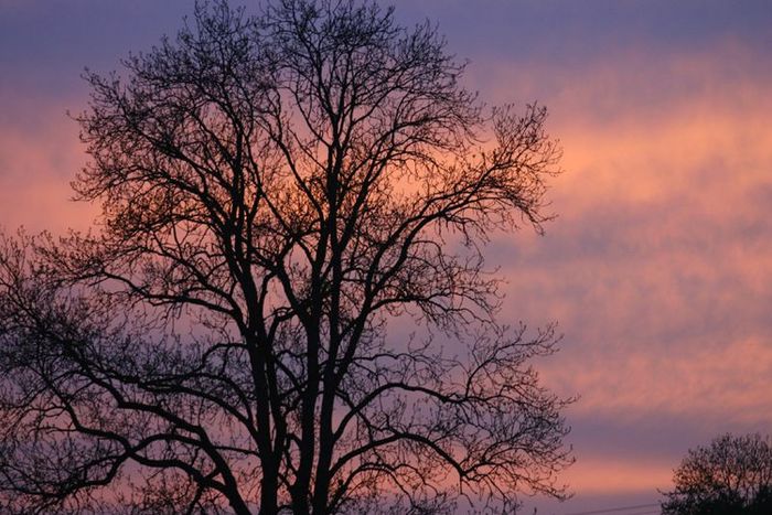 ciel au couchant