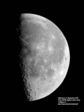 Mi-lune