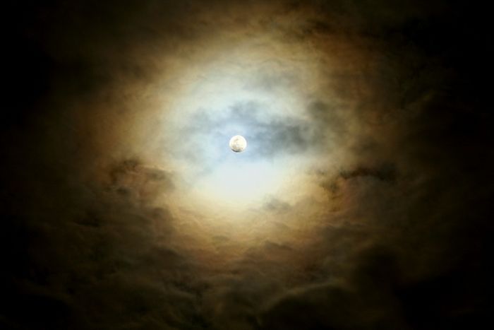 Où sont les anges ?