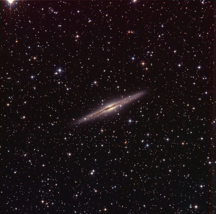 ngc 891