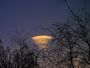 Lenticulaire matinal
