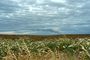 fumee nuages C