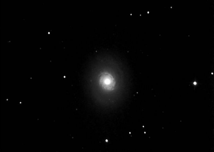 M94 (NGC 4736) - Chiens de Chasse