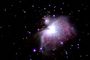 Orion