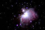Orion