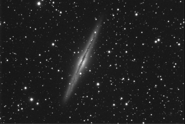 ngc891
