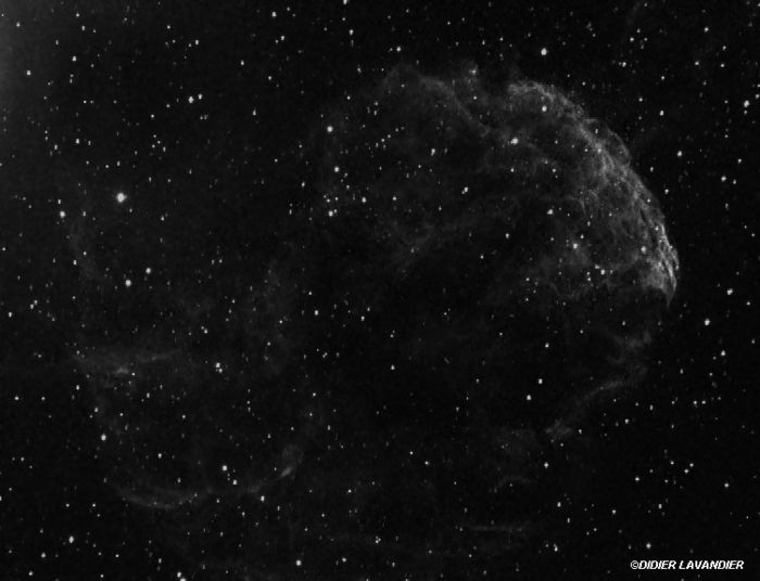 IC443 - La nébuleuse de la Méduse en Ha