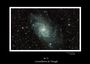 M 33