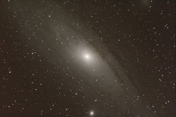 M31