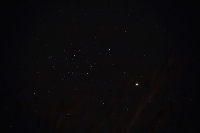 Mars et M44 crèche