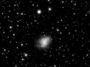 M1 (NGC 1952) - La Nébuleuse du Crabe