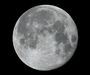 Plein Lune
