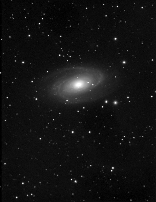 M81