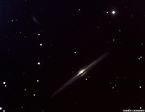 NGC4565