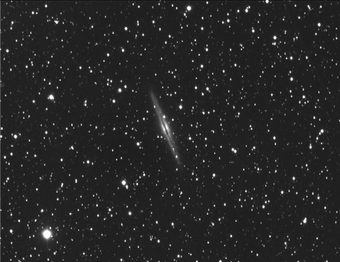NGC891