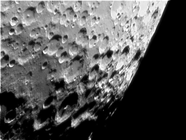 Moretus