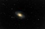 m81
