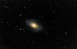 m81