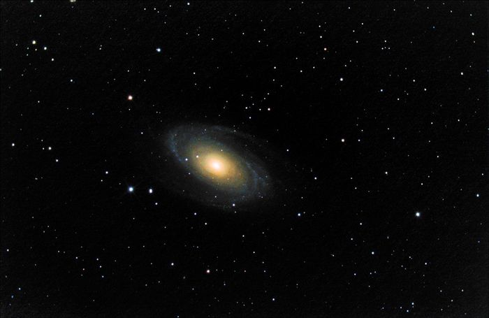 m81